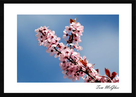 20050325