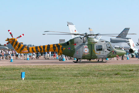 lynx