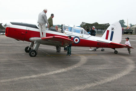 17 - Chipmunk WB585